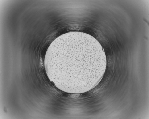 X0000097850089200804111138