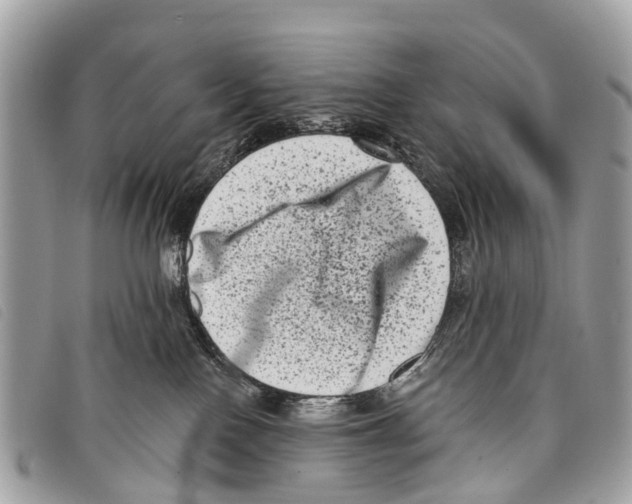 X0000097850090200804111138