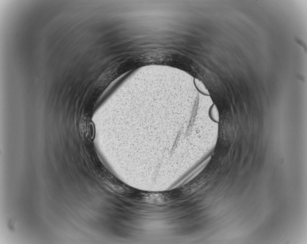 X0000097850091200804111138