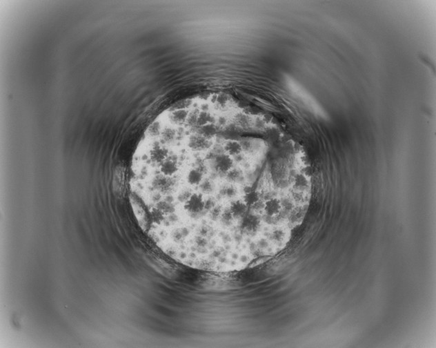 X0000097850093200804111138