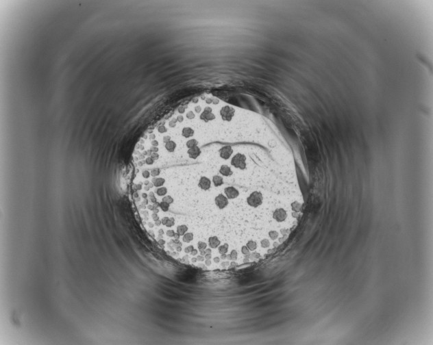 X0000097850095200804111138