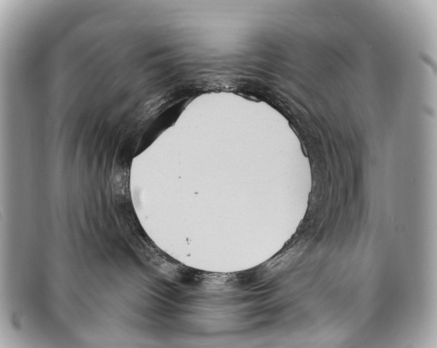 X0000097850096200804111138