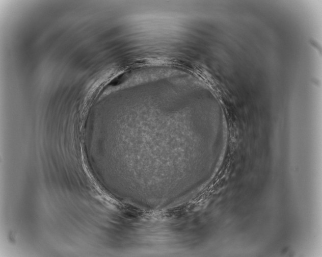 X0000097850097200804111137