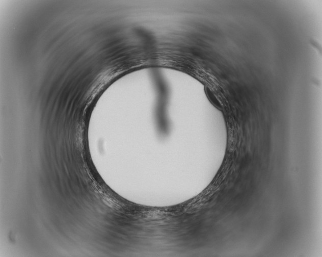 X0000097850098200804111137