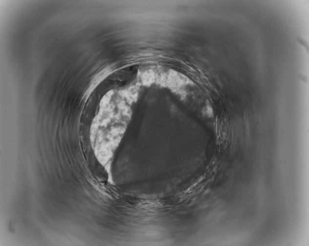 X0000097850099200804111137