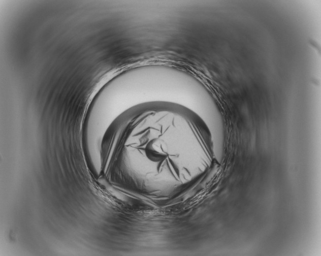 X0000097850100200804111137