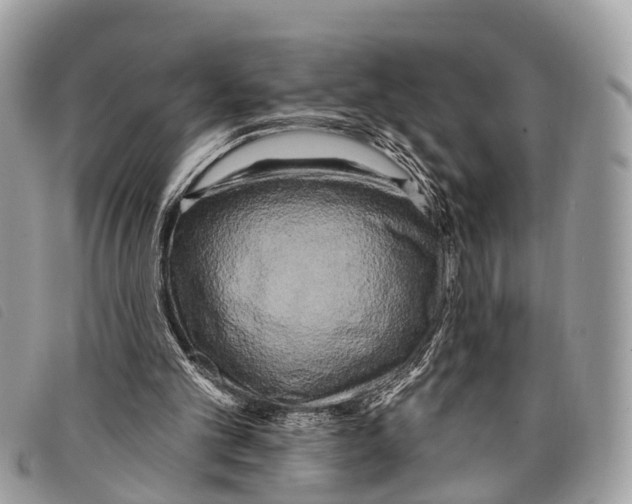 X0000097850101200804111137