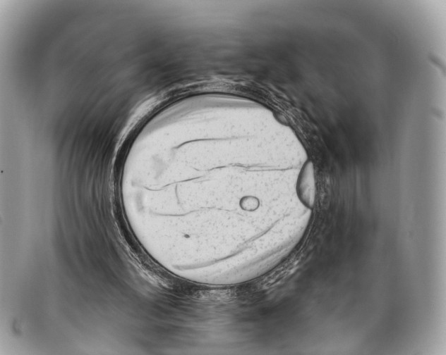 X0000097850102200804111137