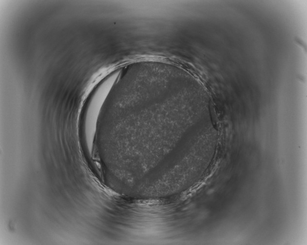 X0000097850104200804111137