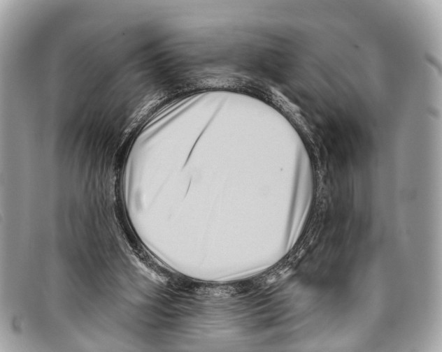 X0000097850106200804111137