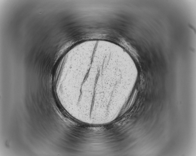 X0000097850107200804111137