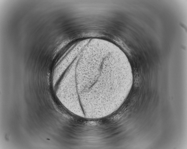 X0000097850111200804111137