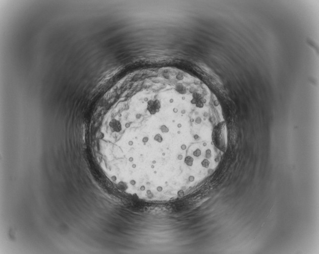 X0000097850115200804111137