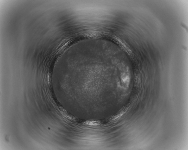 X0000097850117200804111137