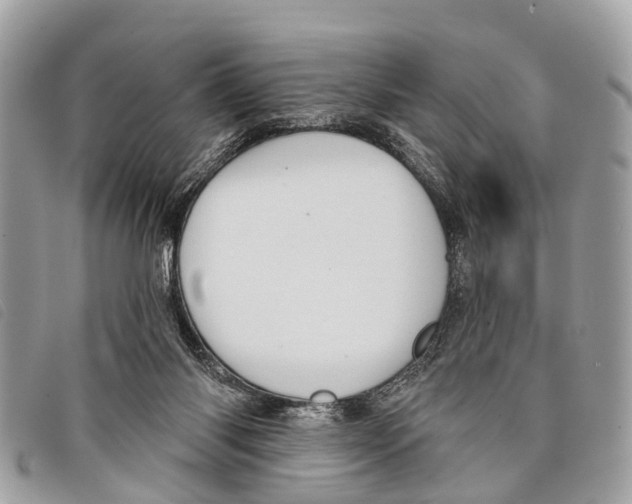 X0000097850118200804111137