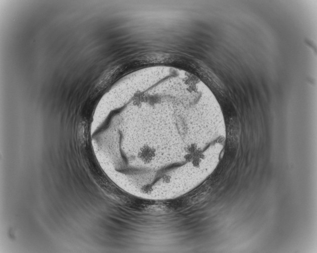X0000097850119200804111137