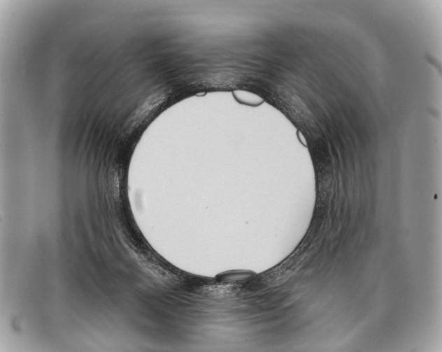 X0000097850120200804111137