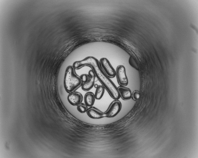 X0000097850121200804111137