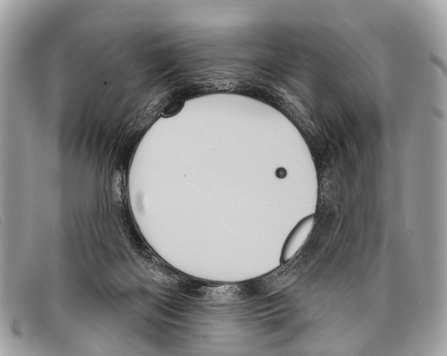 X0000097850122200804111137