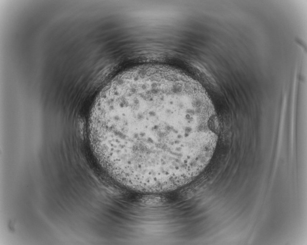 X0000097850123200804111137