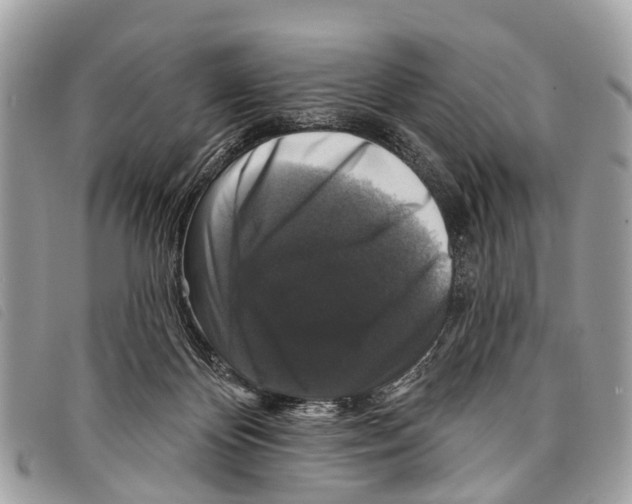 X0000097850124200804111137