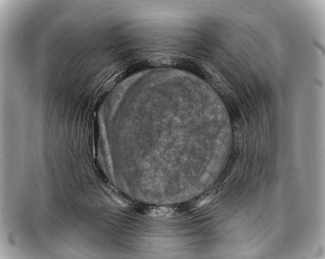 X0000097850125200804111137