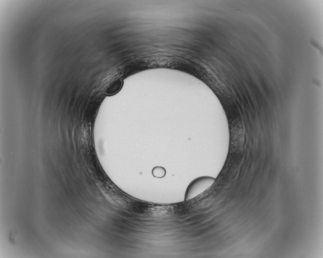 X0000097850126200804111137