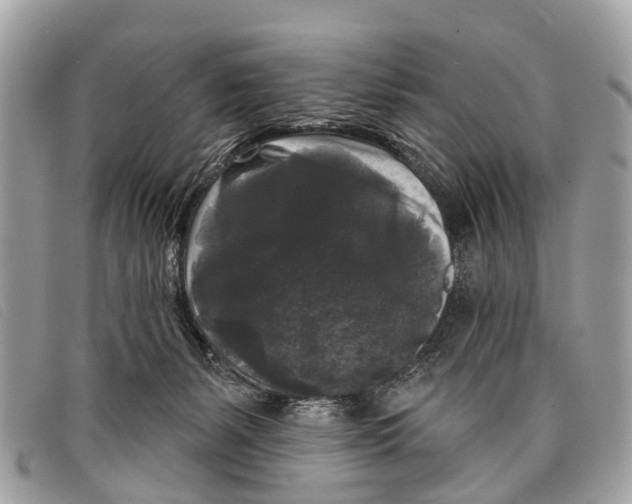 X0000097850127200804111137