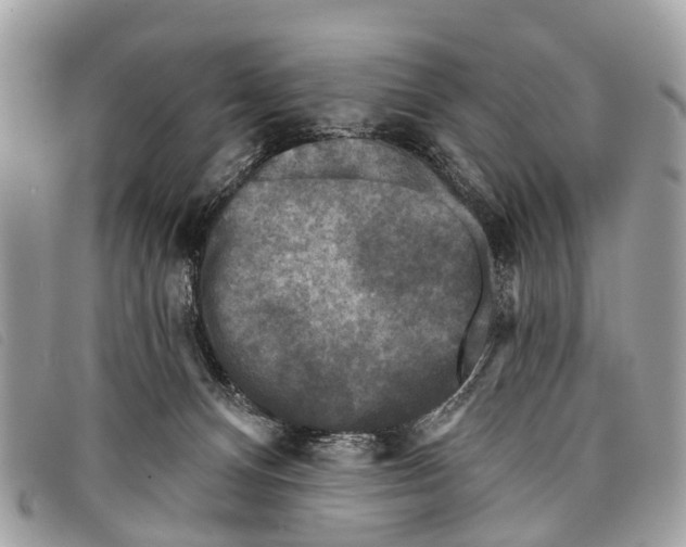 X0000097850128200804111137