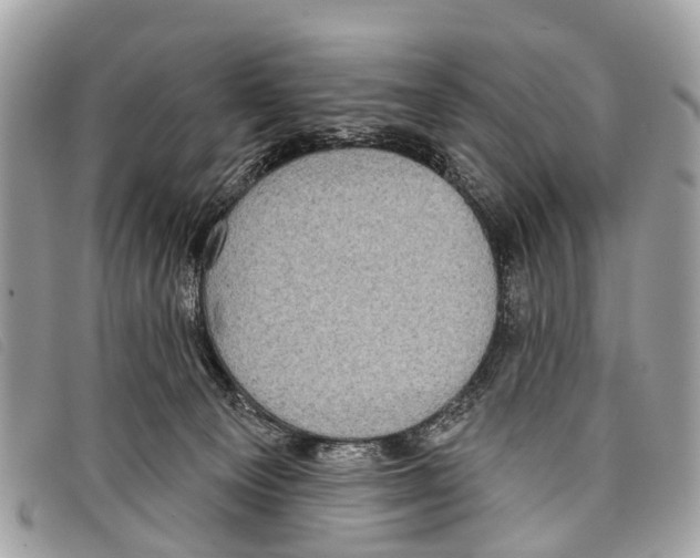 X0000097850129200804111137