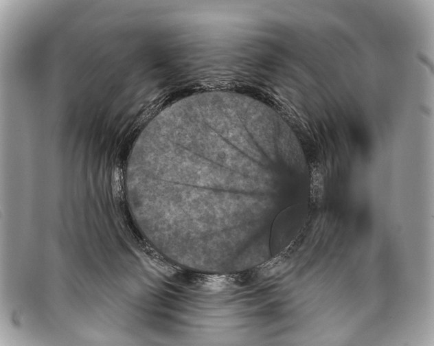 X0000097850130200804111137