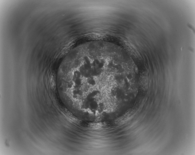 X0000097850131200804111137