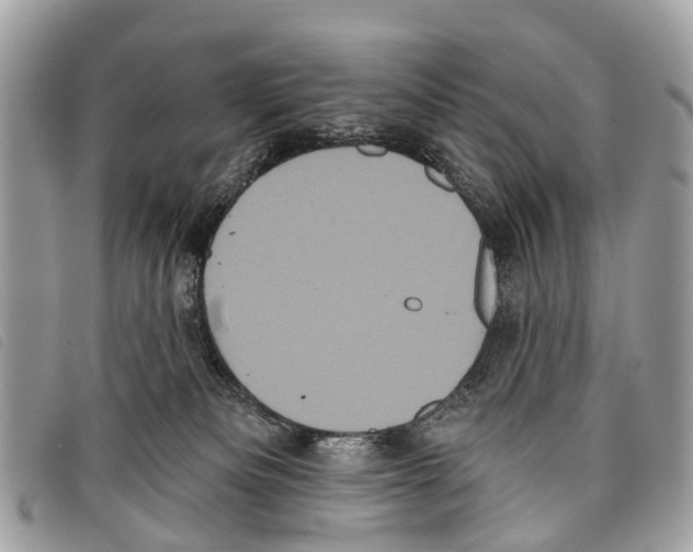 X0000097850133200804111137