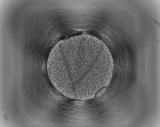 X0000097850134200804111137