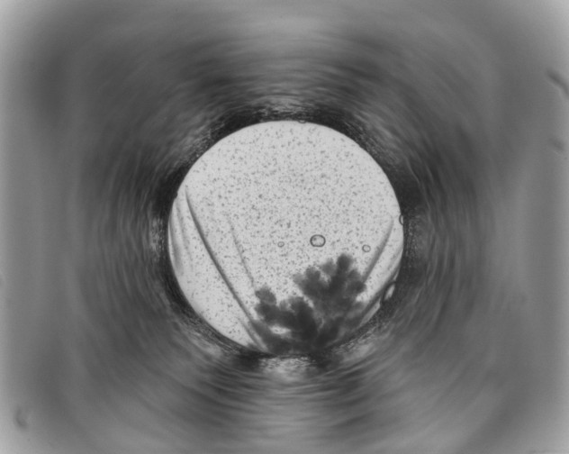 X0000097850135200804111137