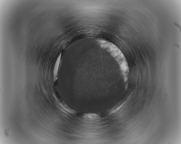 X0000097850137200804111137