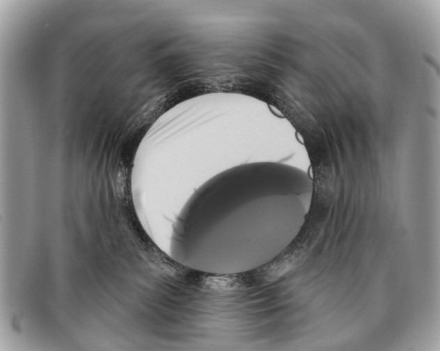 X0000097850139200804111137