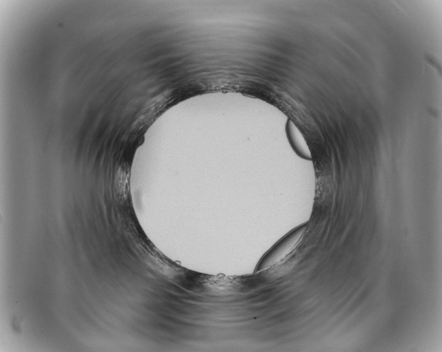 X0000097850142200804111137