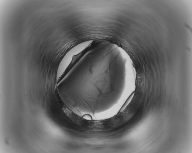 X0000097850143200804111137