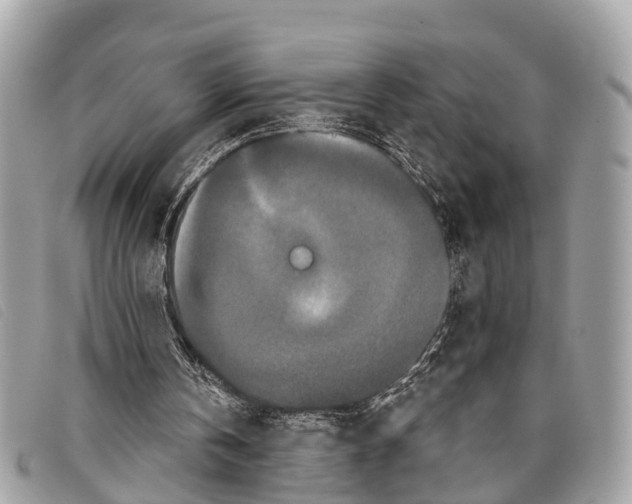 X0000097850146200804111136