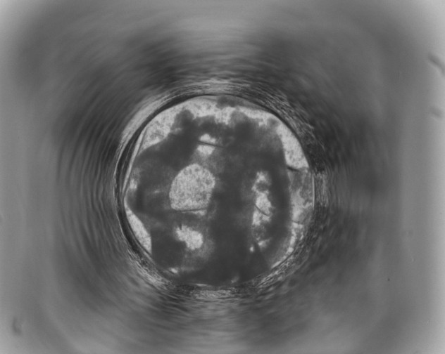 X0000097850147200804111136