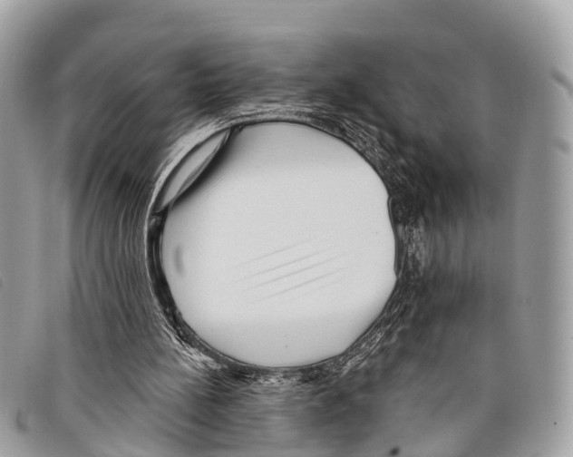 X0000097850148200804111136