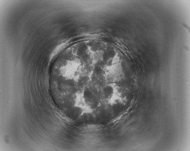 X0000097850149200804111136