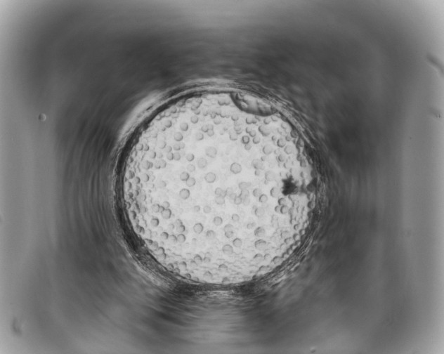 X0000097850151200804111136