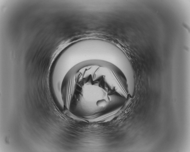 X0000097850152200804111136