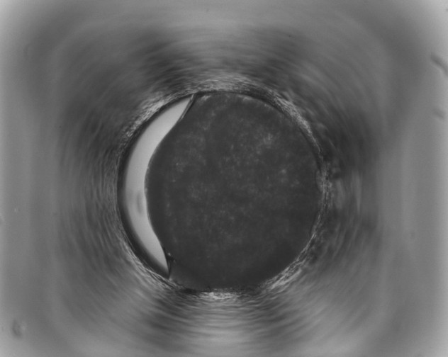 X0000097850154200804111136