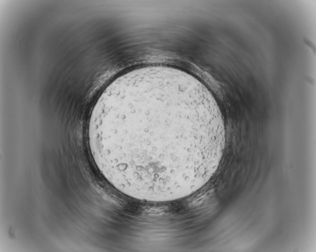 X0000097850155200804111136