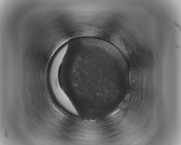 X0000097850156200804111136