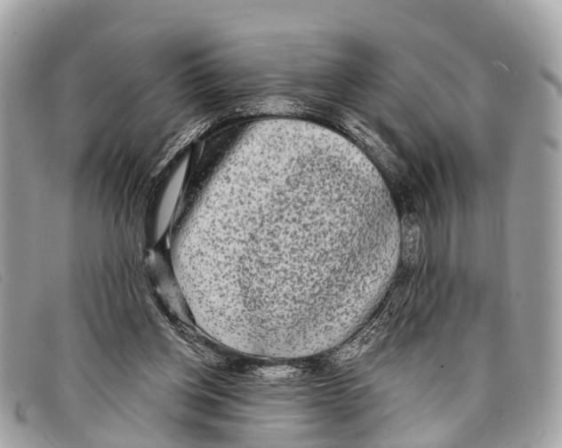 X0000097850158200804111136