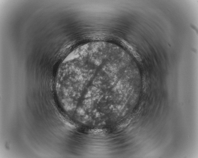 X0000097850161200804111136